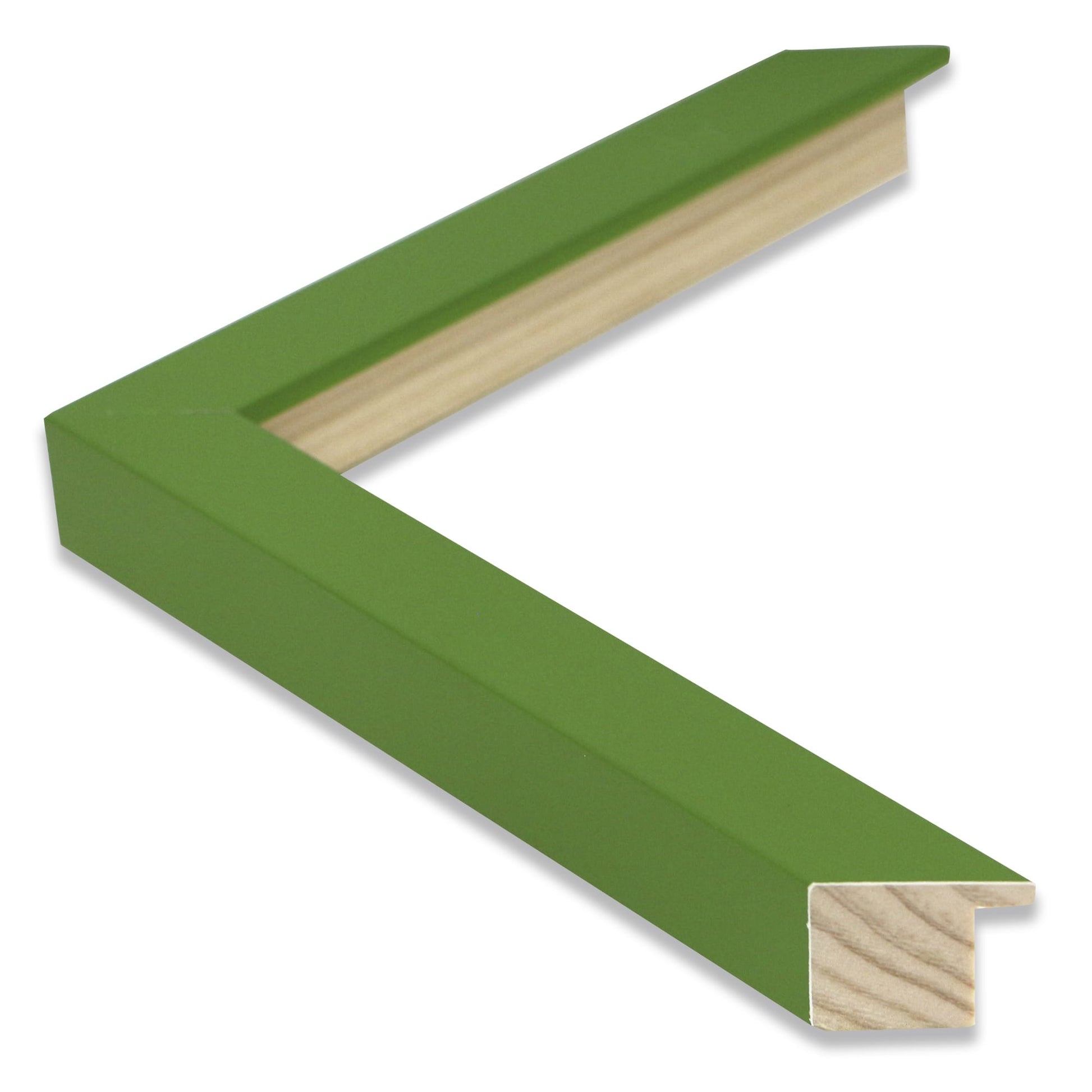 Marco modular Verde  00533 – Naturaleza, Estilo y Frescura Visual