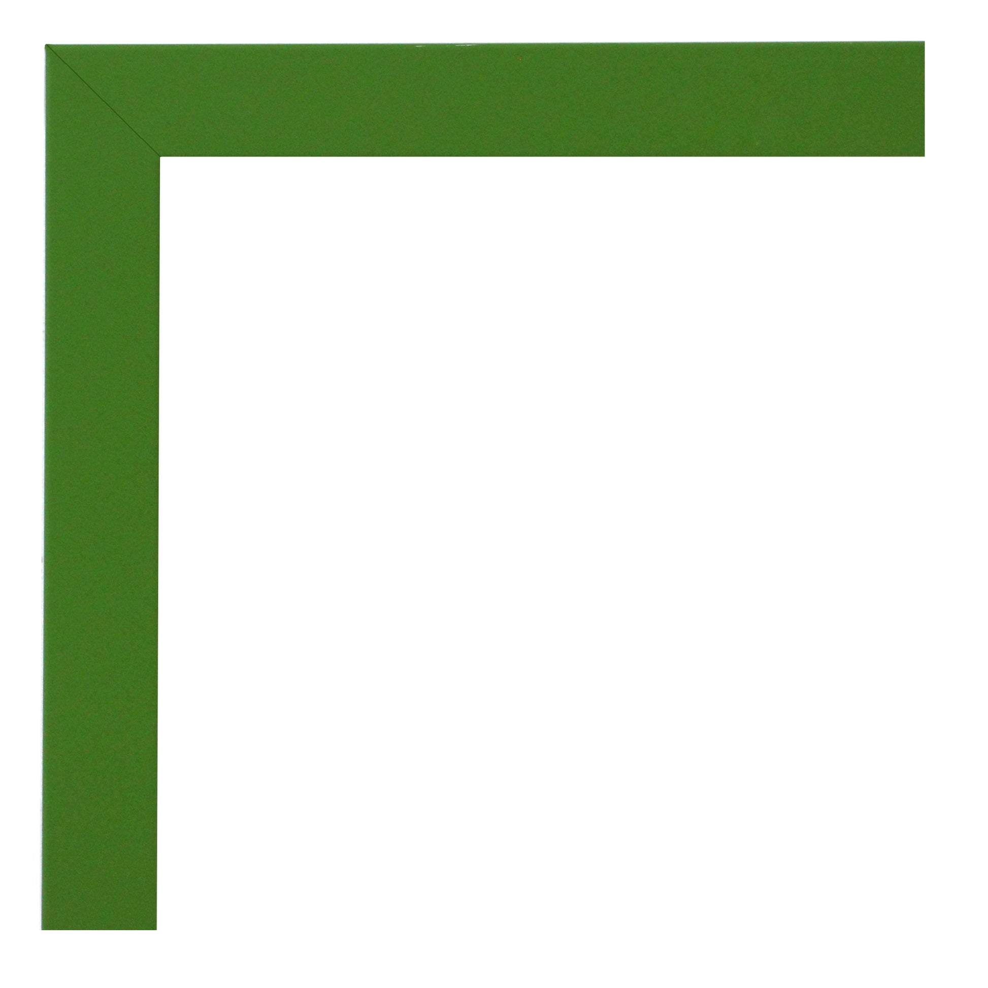 Marco modular Verde  00533 – Naturaleza, Estilo y Frescura Visual