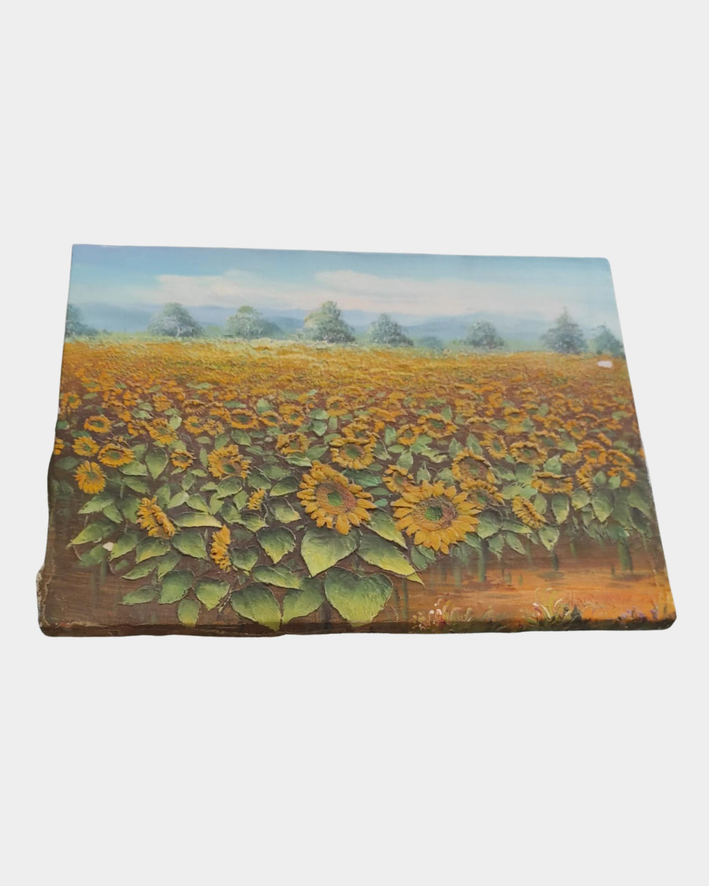 Pintura al Óleo – 40 x 30,5 cm