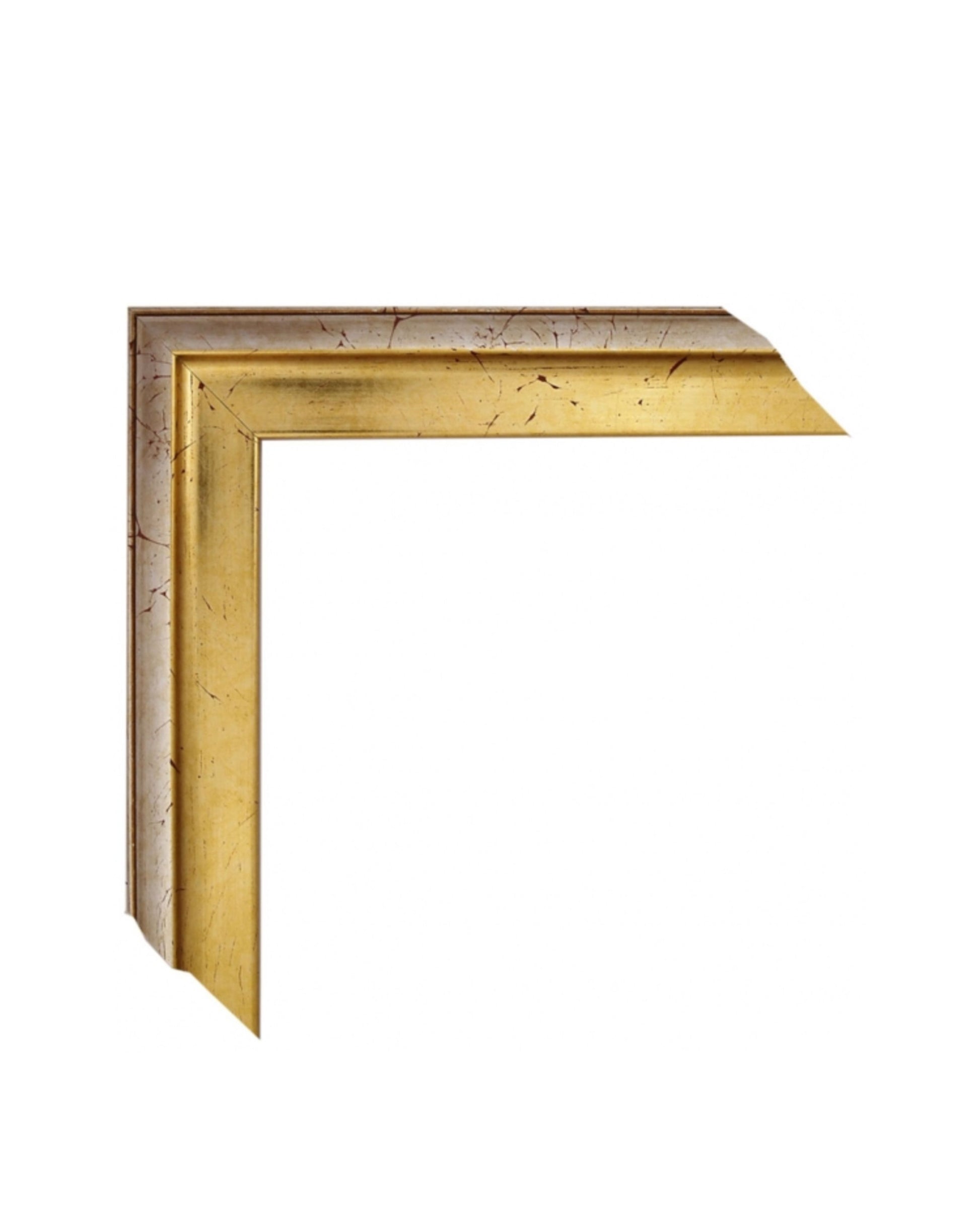 Marco Oro con Aguas  y Trasera Plateada 00594Y6/2910 –