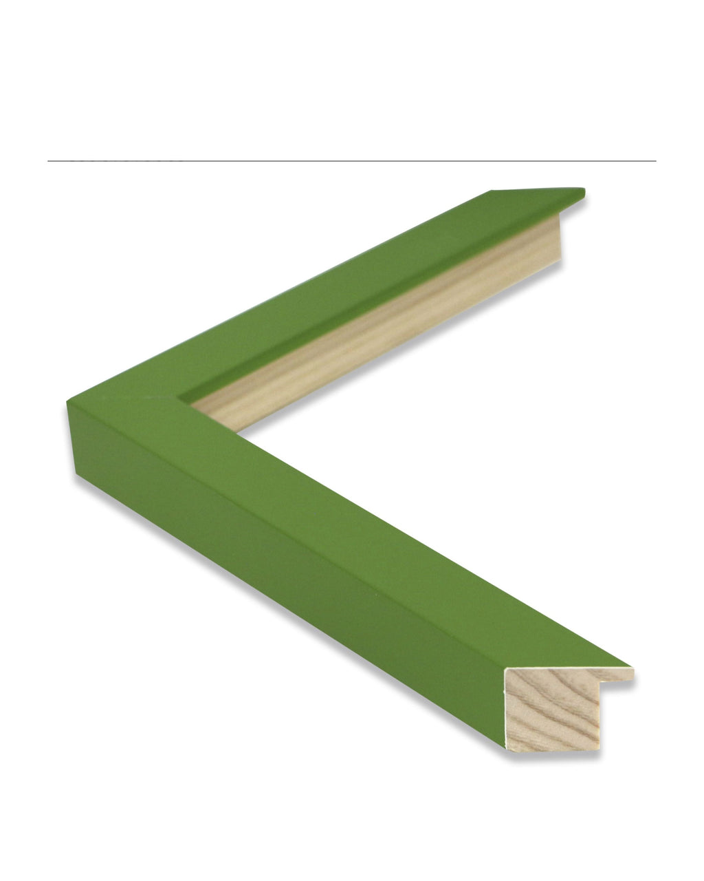 Marco modular Verde 00533–  NATURALEZA, ESTILO Y FRESCURA VISUAL